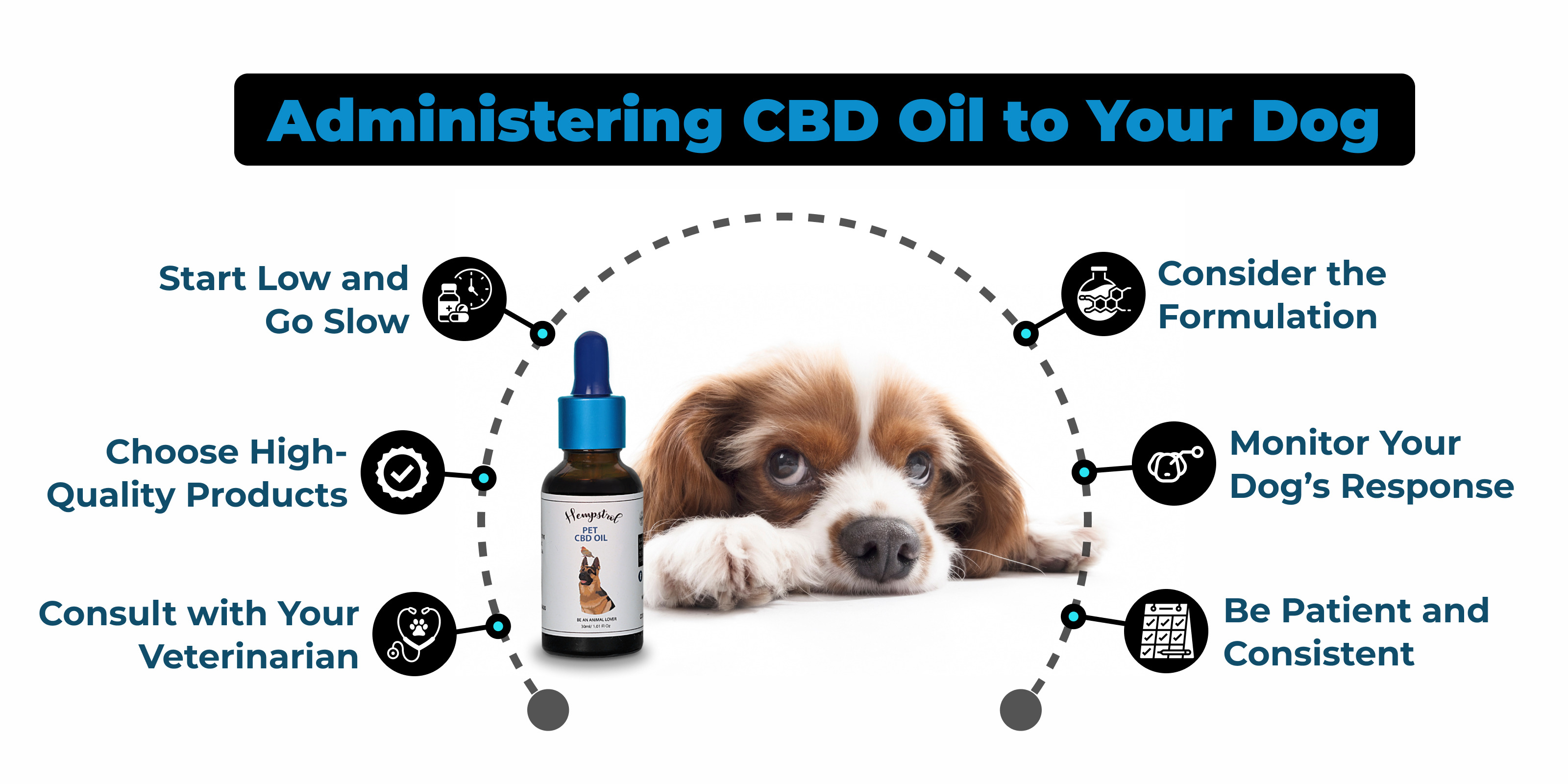 cbd oil for dogs in India
